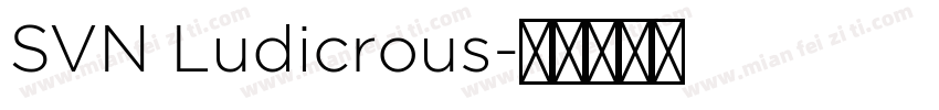 SVN Ludicrous字体转换